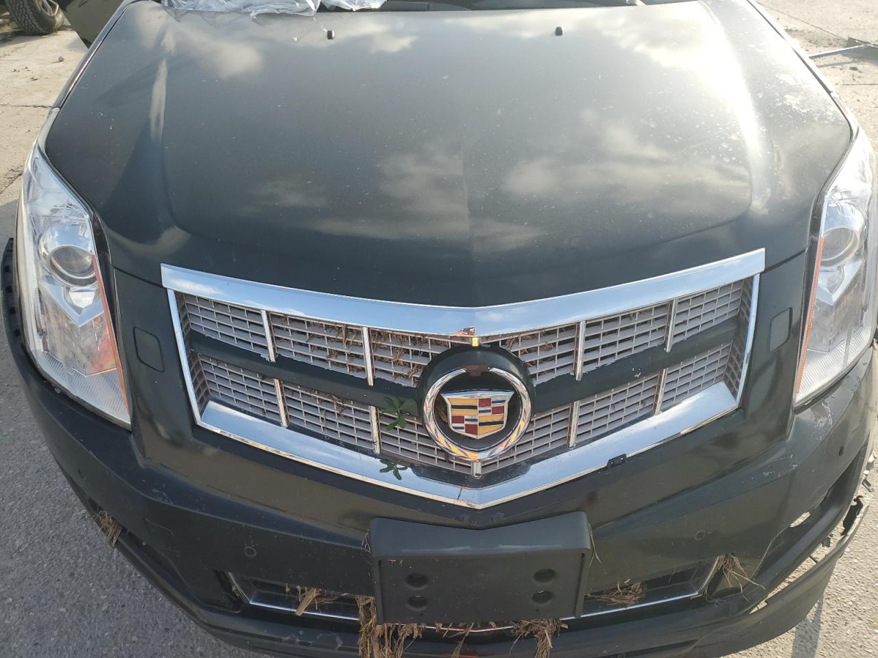 2012 Cadillac Srx Premium Collection VIN: 3GYFNCE36CS504060 Lot: 64974924