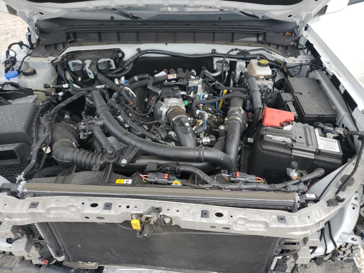 2023 Ford Bronco Base VIN: 1FMEE5BPXPLB86908 Lot: 63799774