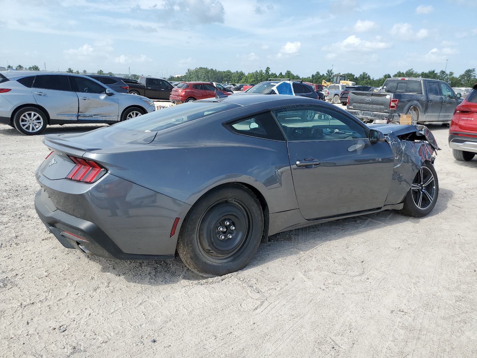 2024 Ford Mustang vin: 1FA6P8THXR5113286