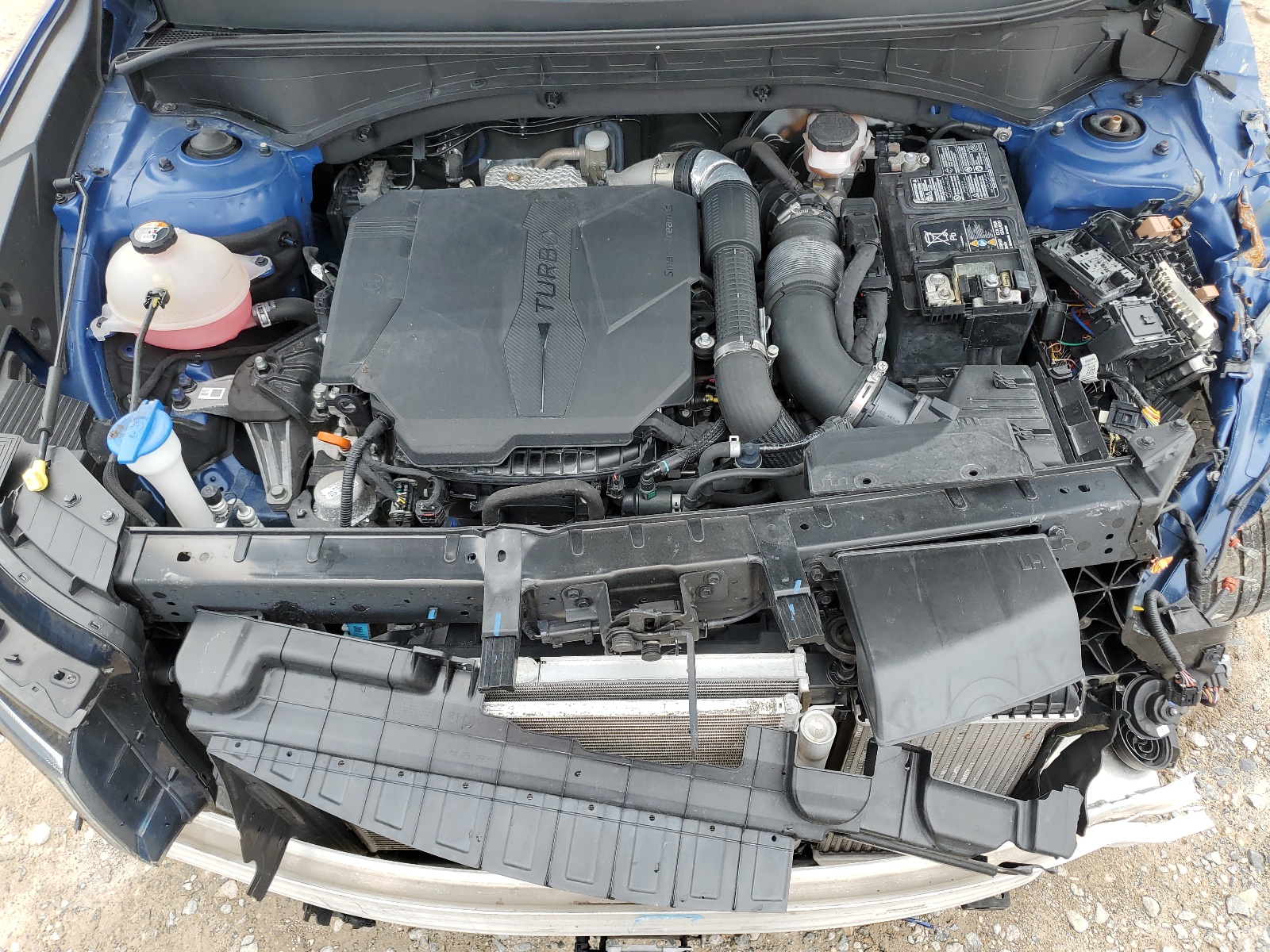 2021 Kia Sorento Ex vin: 5XYRH4LF3MG013137