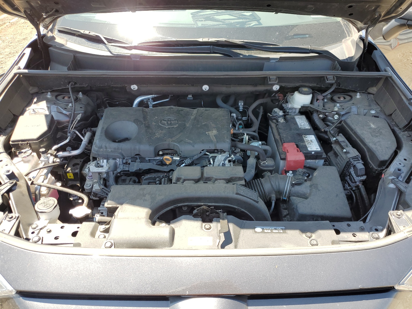 2T3W1RFV9LW101231 2020 Toyota Rav4 Xle