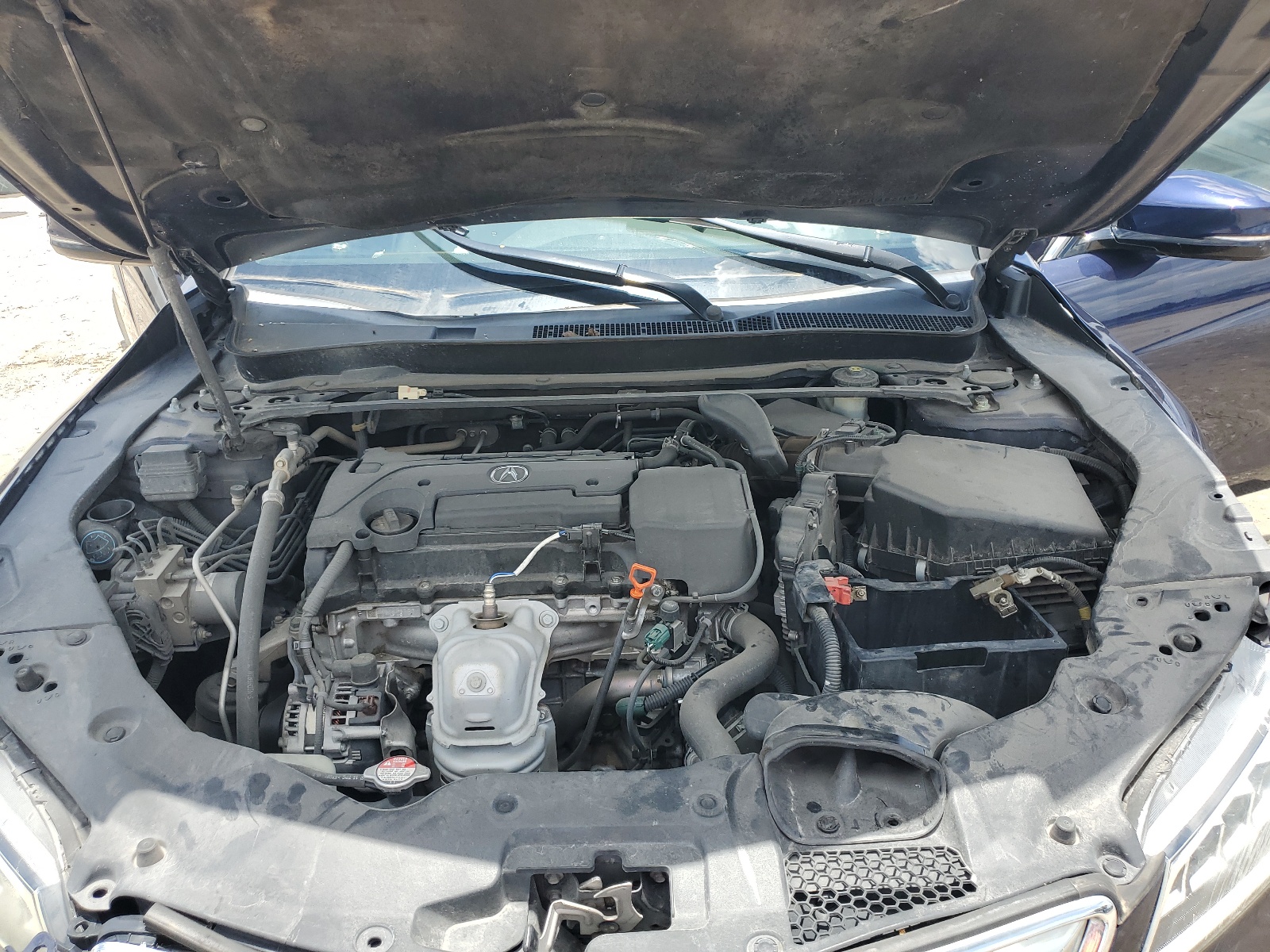 19UUB1F39GA009207 2016 Acura Tlx