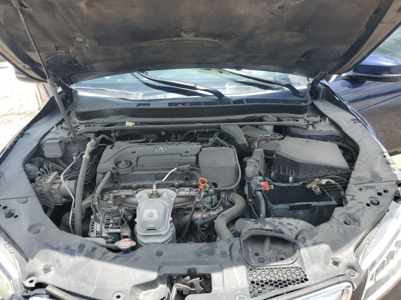 2016 Acura Tlx VIN: 19UUB1F39GA009207 Lot: 61441354