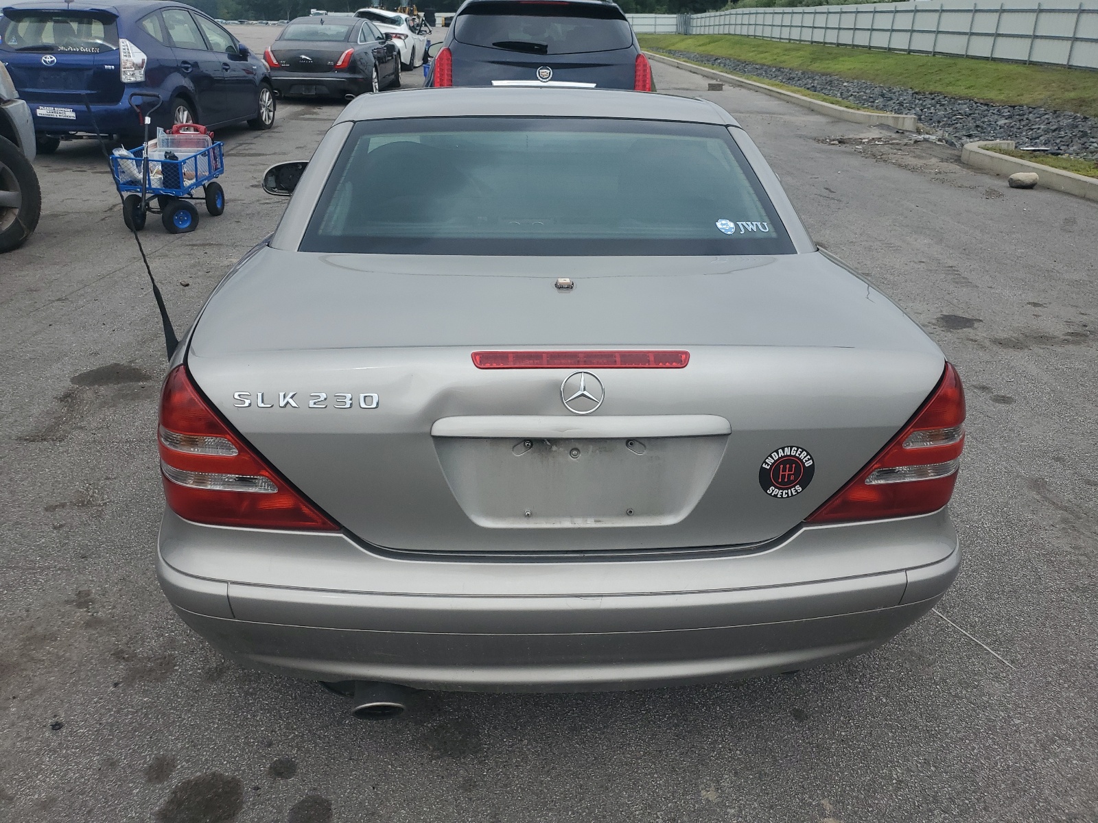 WDBKK49F83F277738 2003 Mercedes-Benz Slk 230 Kompressor