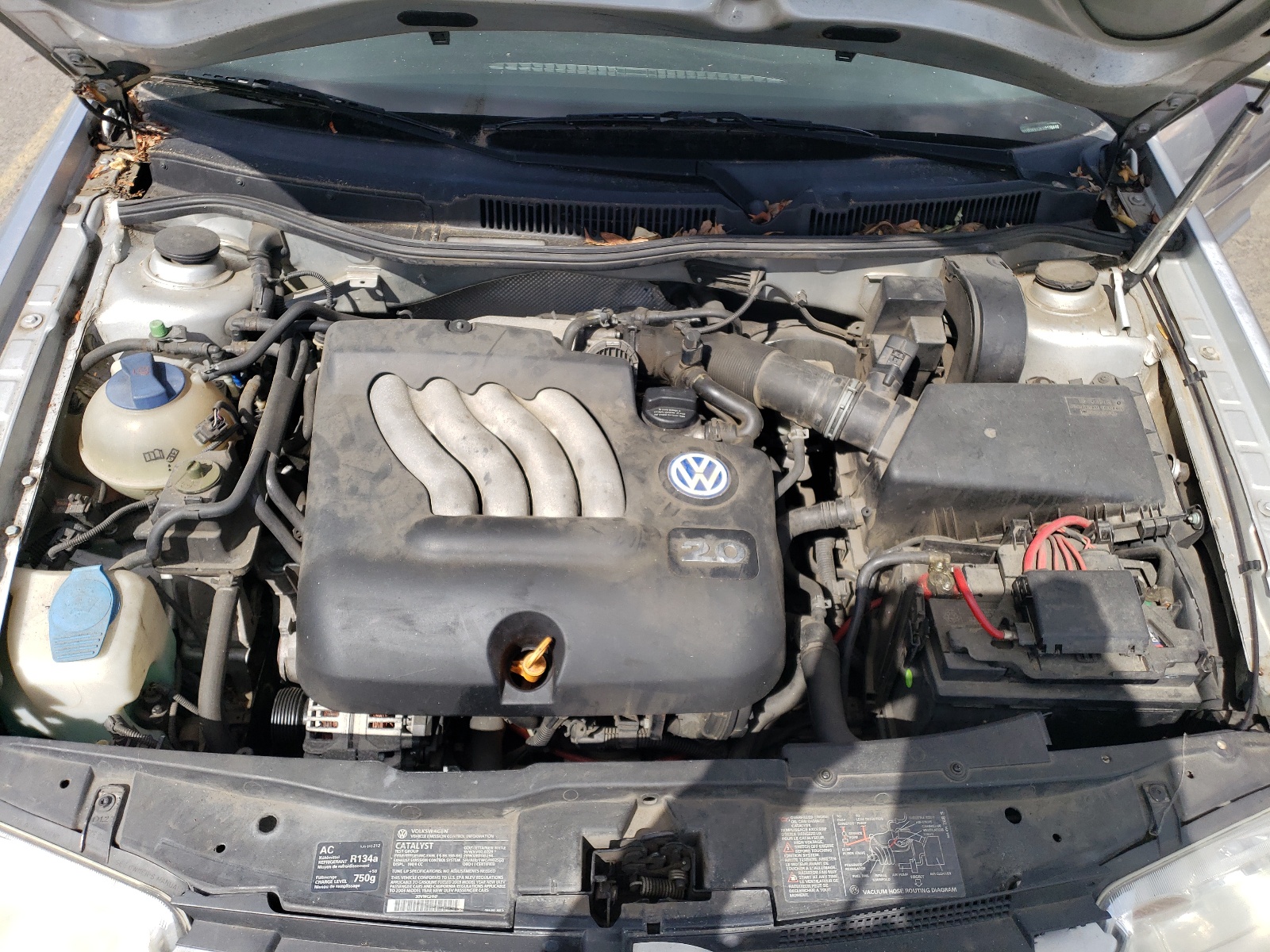 WVWSK61J53W126448 2003 Volkswagen Jetta Gls