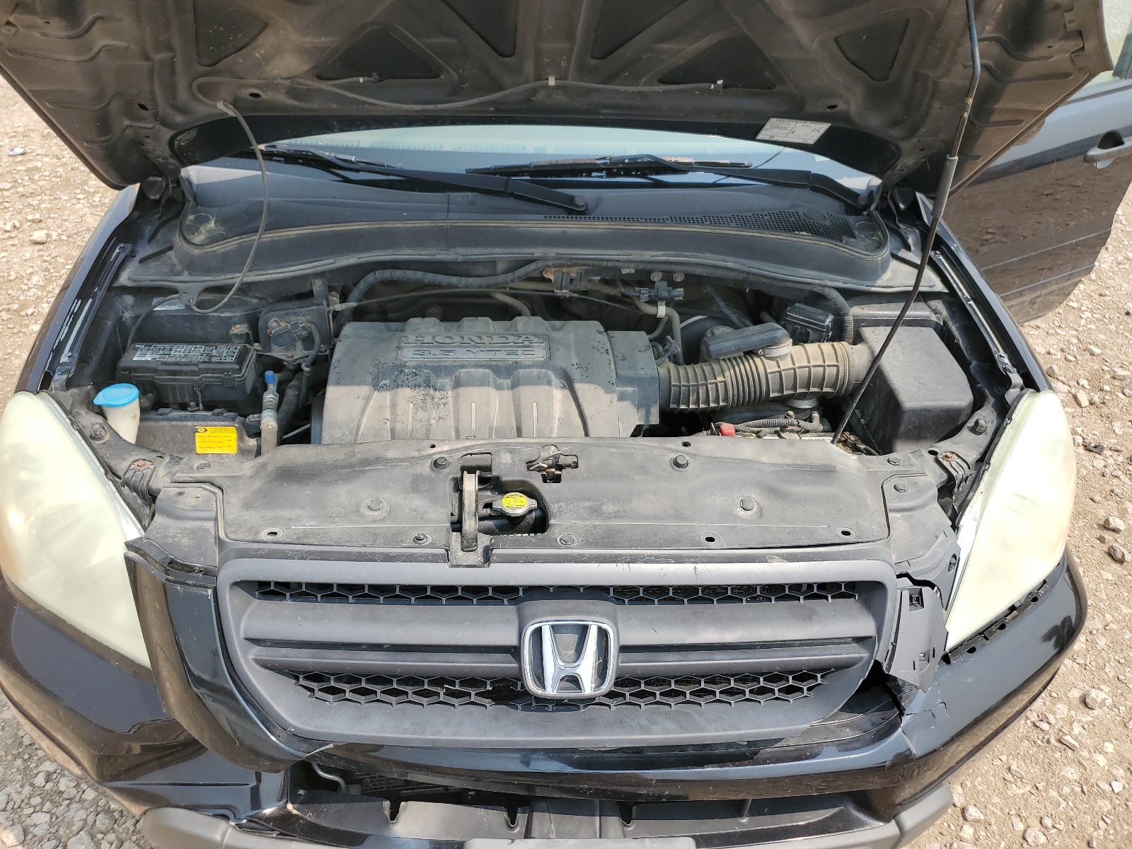 5FNYF18595B009893 2005 Honda Pilot Exl