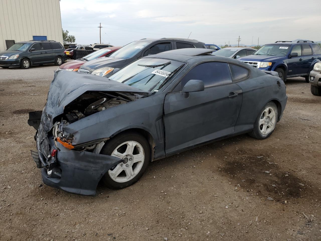 2003 Hyundai Tiburon Gt VIN: KMHHN65F43U101569 Lot: 64456694