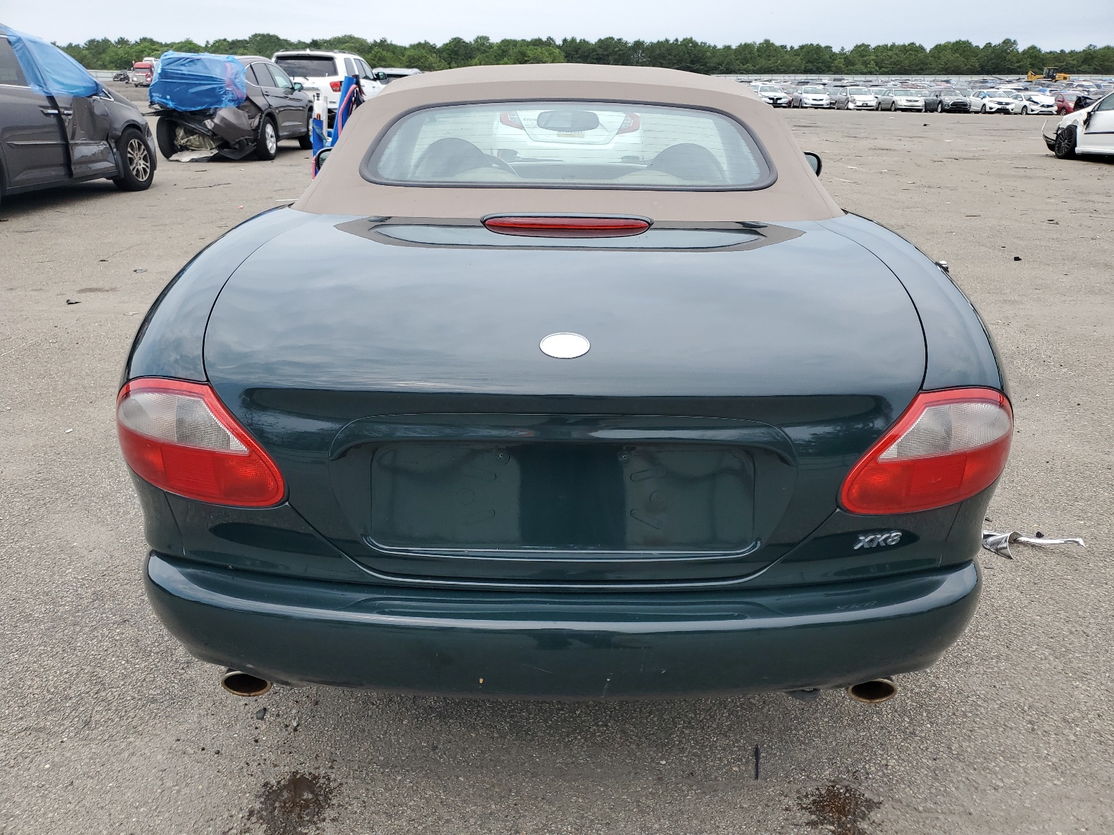 SAJGX2246WC025547 1998 Jaguar Xk8