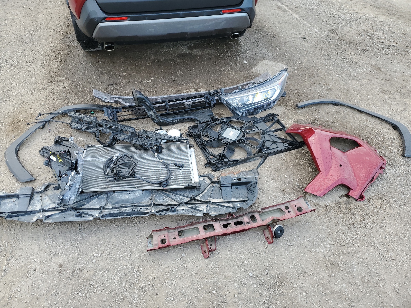 2T3D1RFV8KW013423 2019 Toyota Rav4 Limited