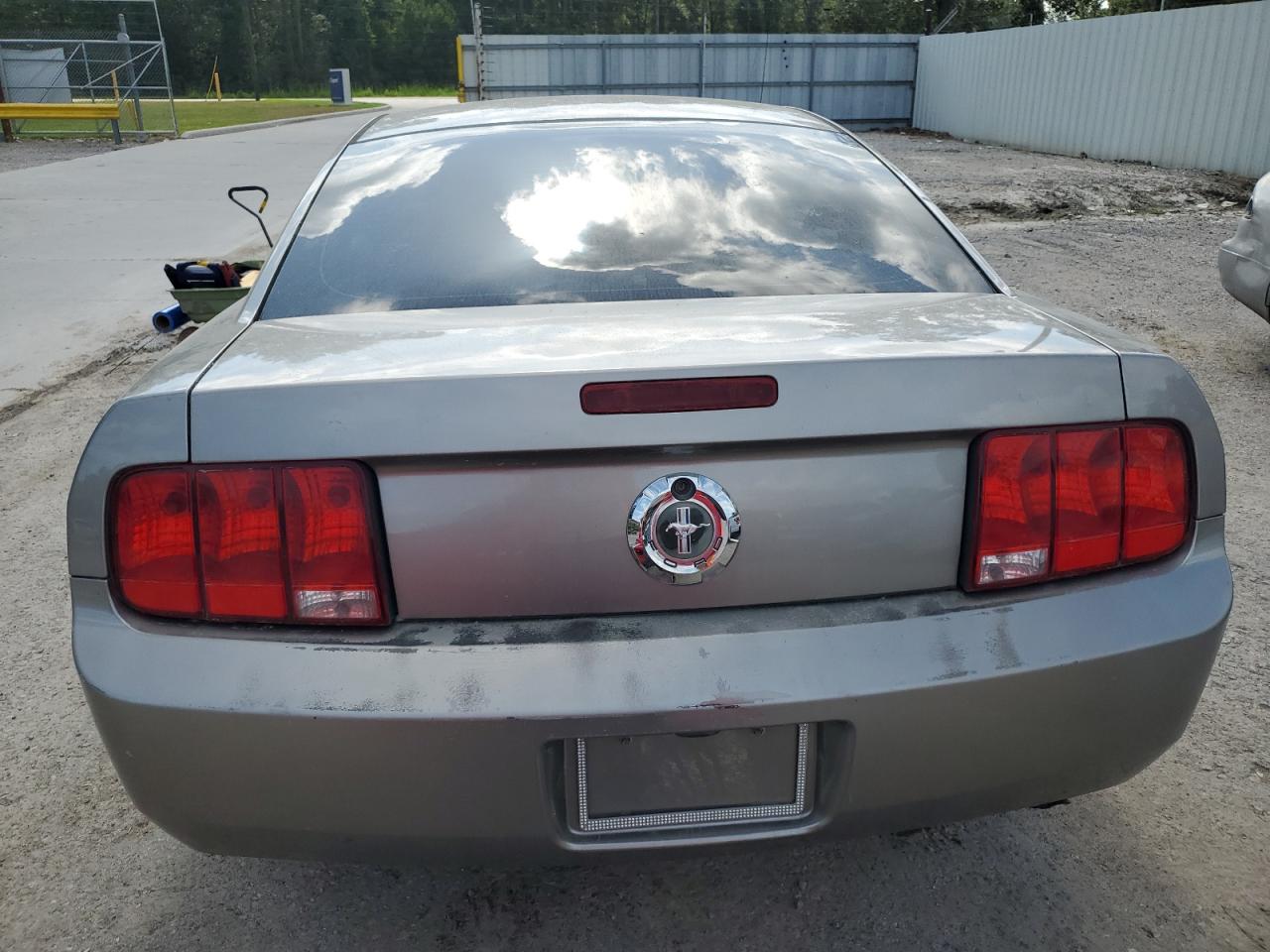 2008 Ford Mustang VIN: 1ZVHT80N485191647 Lot: 62053114