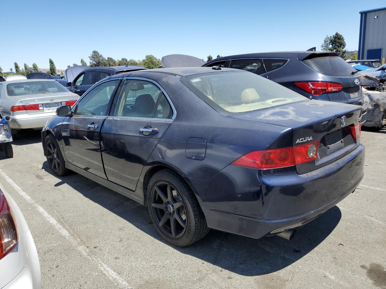 2006 Acura Tsx VIN: JH4CL96926C031240 Lot: 63528974