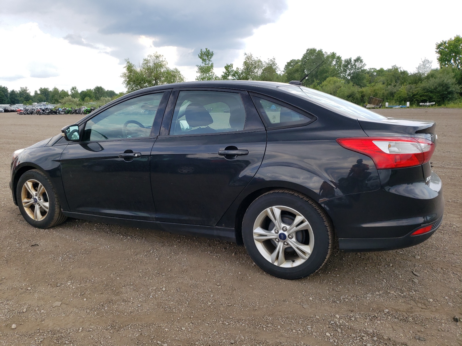 2014 Ford Focus Se vin: 1FADP3F29EL234799