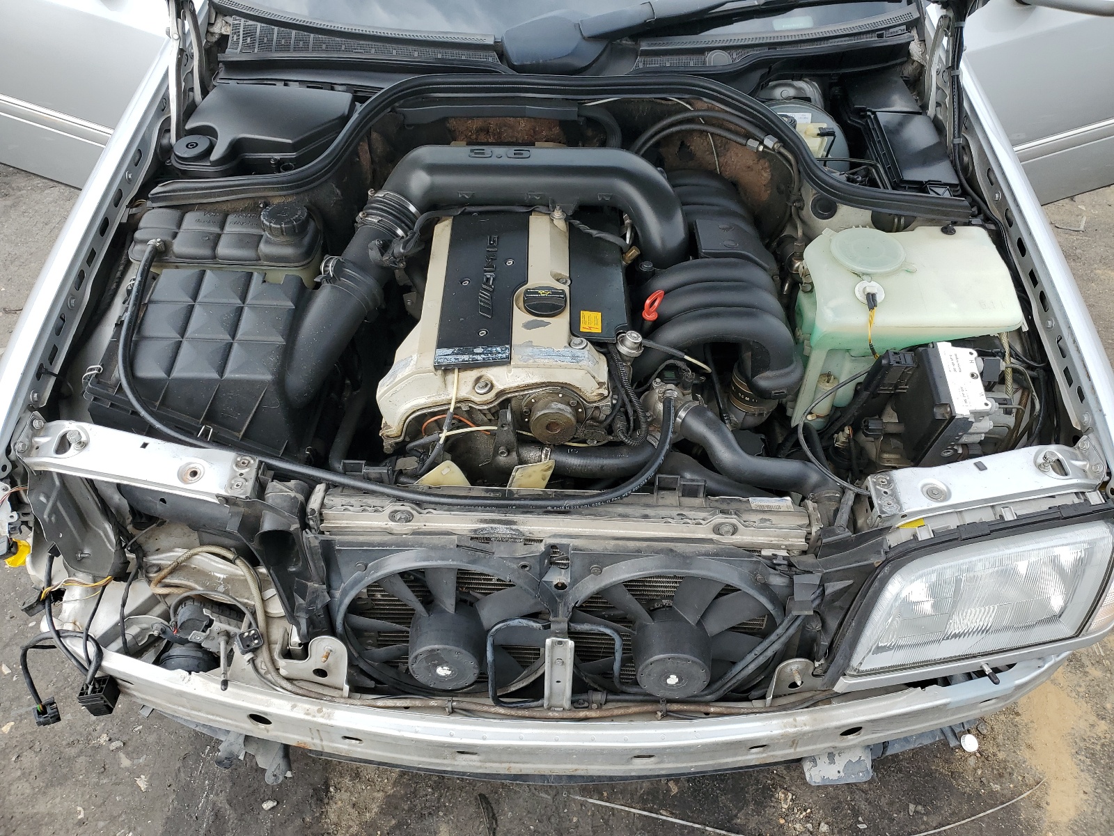 WDBHM36E4VF601197 1997 Mercedes-Benz C 36