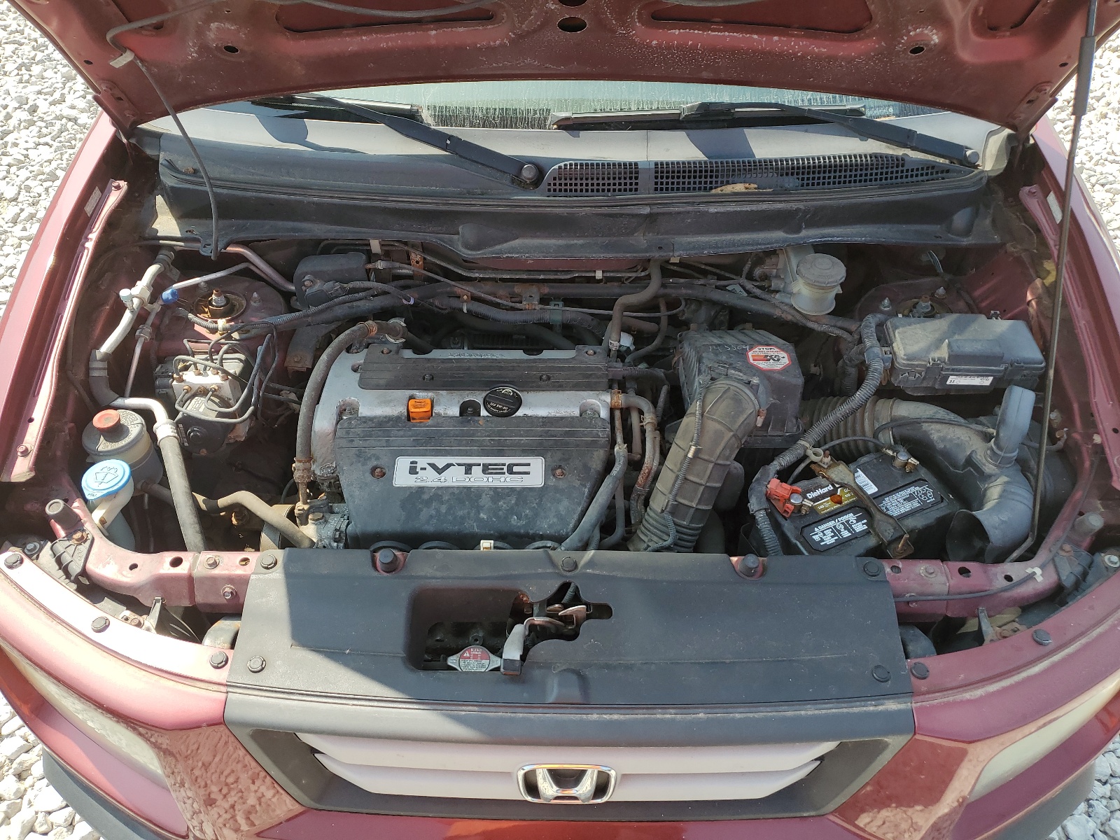 5J6YH28707L009356 2007 Honda Element Ex