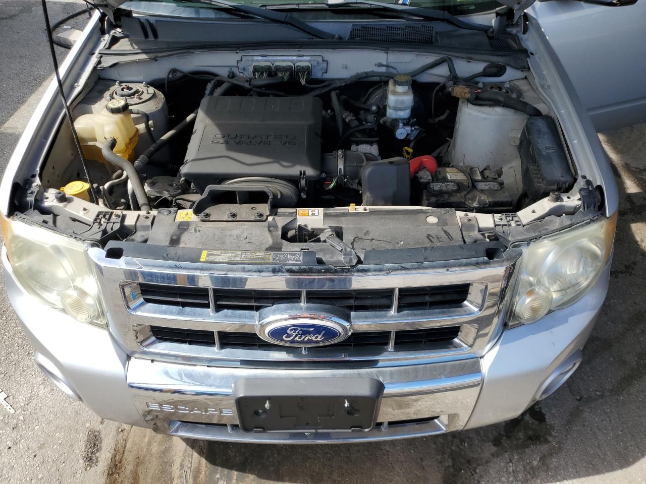 2010 Ford Escape Limited VIN: 1FMCU9EG4AKC44019 Lot: 61409994