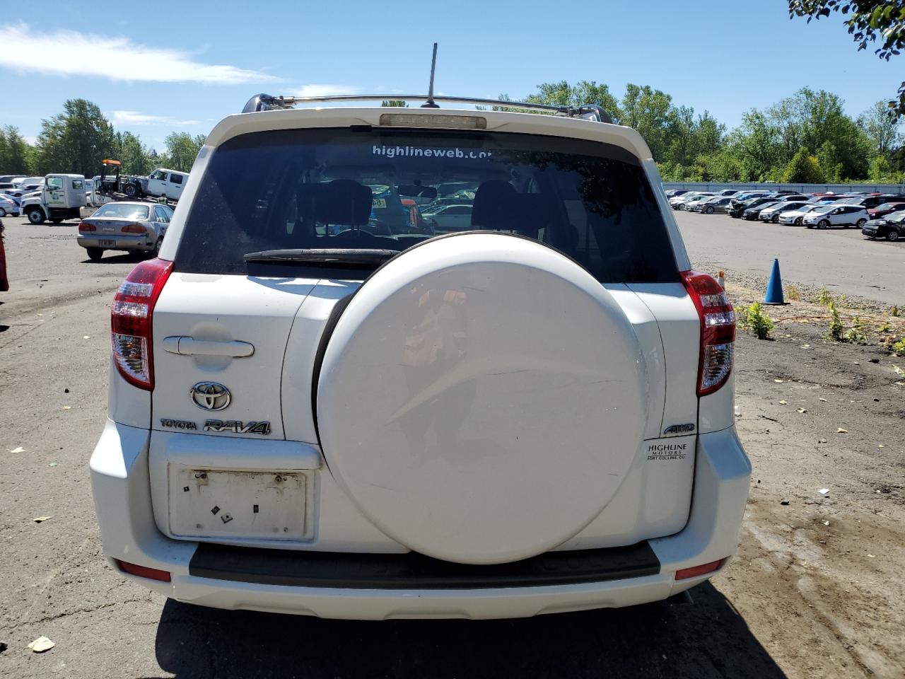 2009 Toyota Rav4 VIN: JTMBF33V895016060 Lot: 64698834