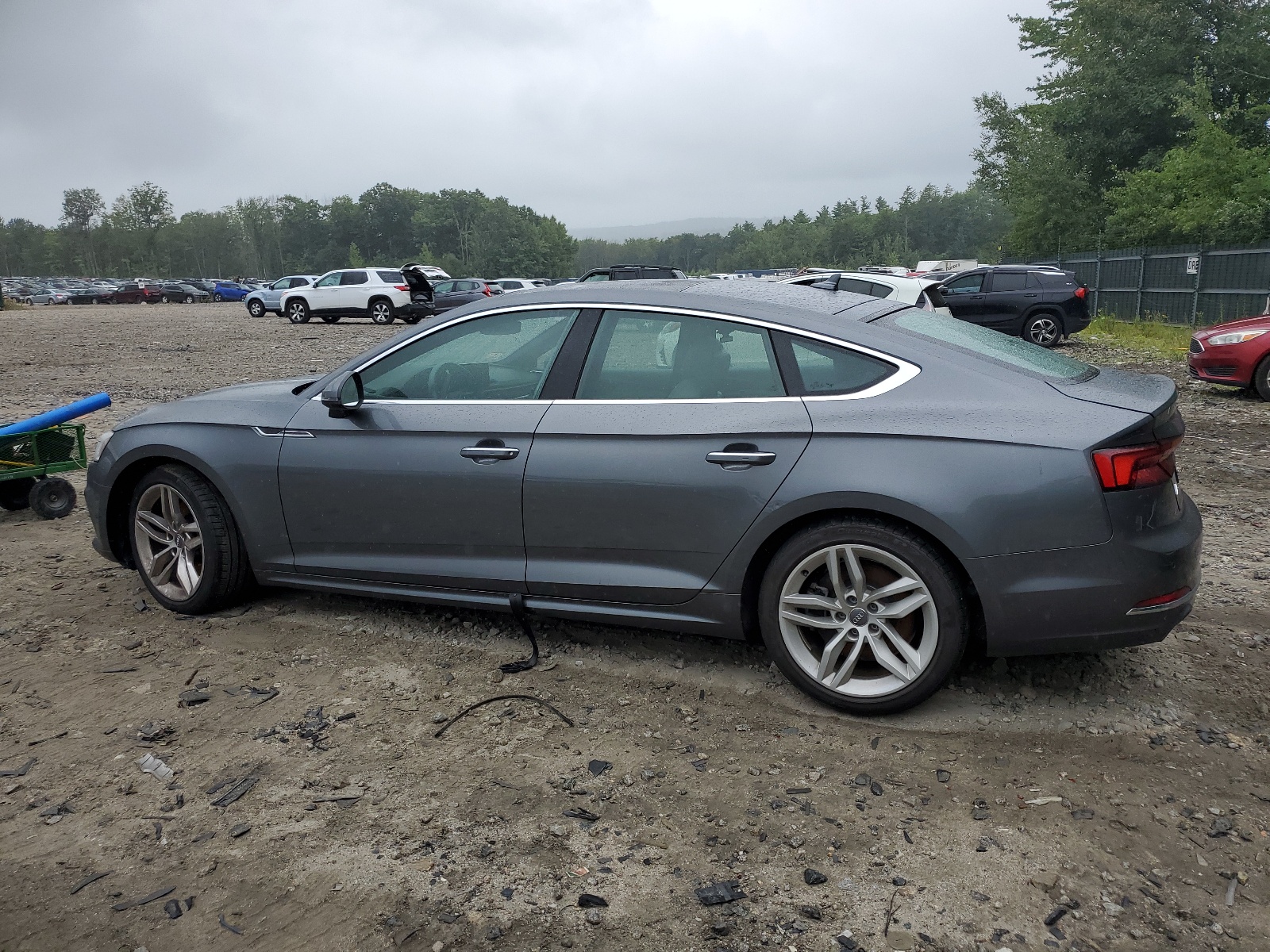 2019 Audi A5 Premium Plus vin: WAUBNCF53KA067295