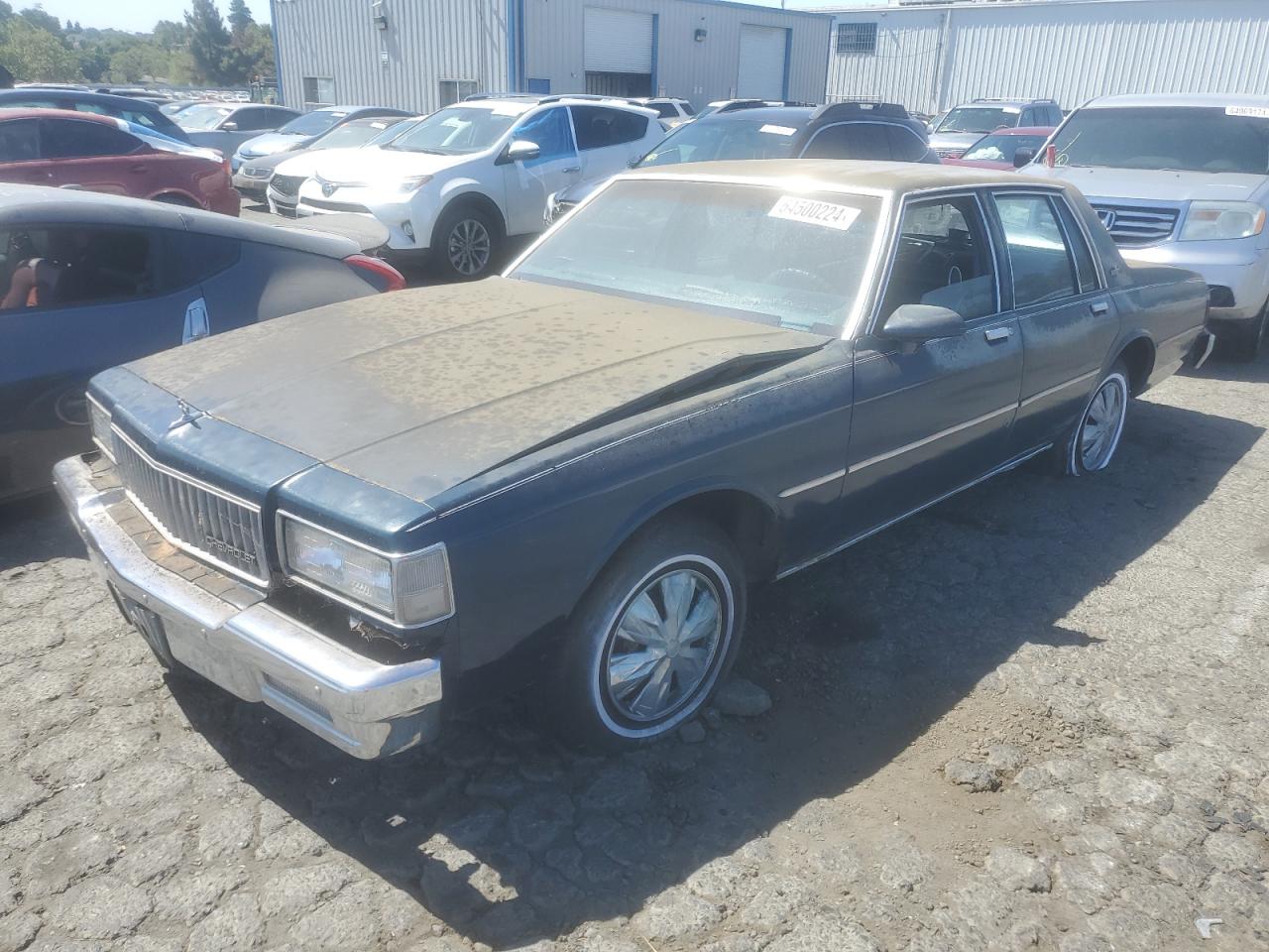 1989 Chevrolet Caprice VIN: 1G1BL51E0KR150236 Lot: 64500224