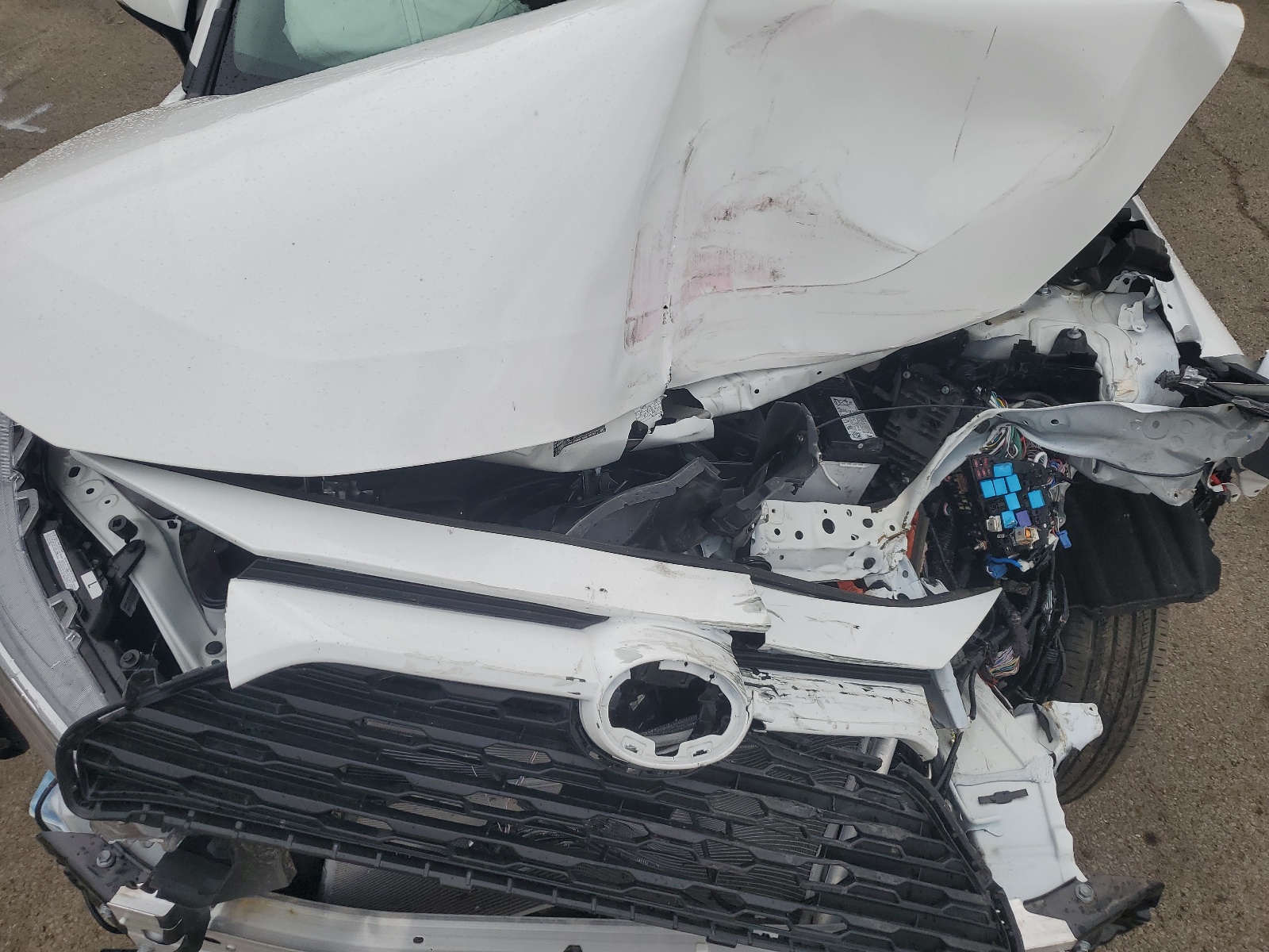 2T3P1RFV9RC444409 2024 Toyota Rav4 Xle