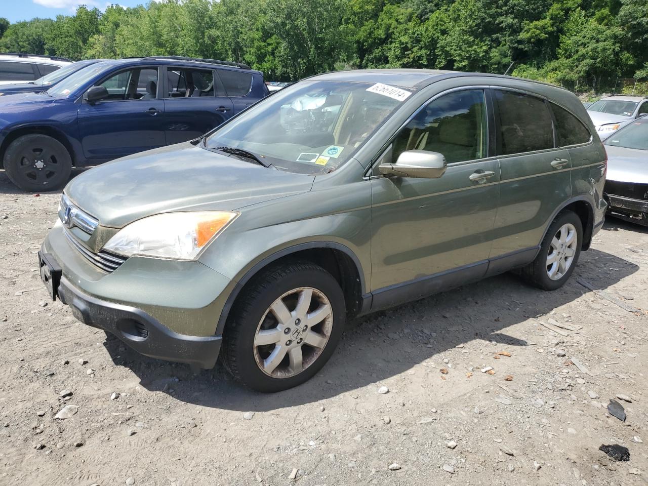 2007 Honda Cr-V Exl VIN: JHLRE48727C084383 Lot: 62661014