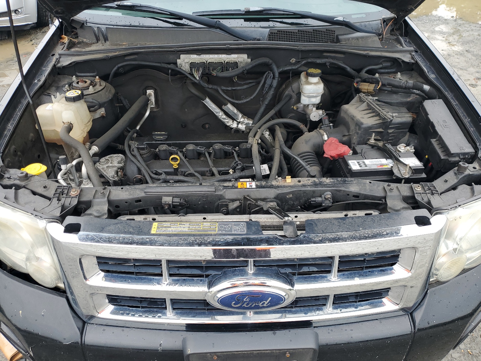 1FMCU0D7XAKA11629 2010 Ford Escape Xlt