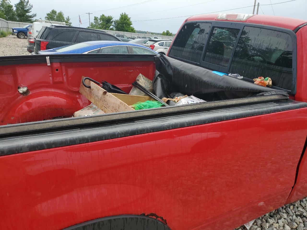 2005 Ford F150 VIN: 1FTRF12295KC13065 Lot: 61269604