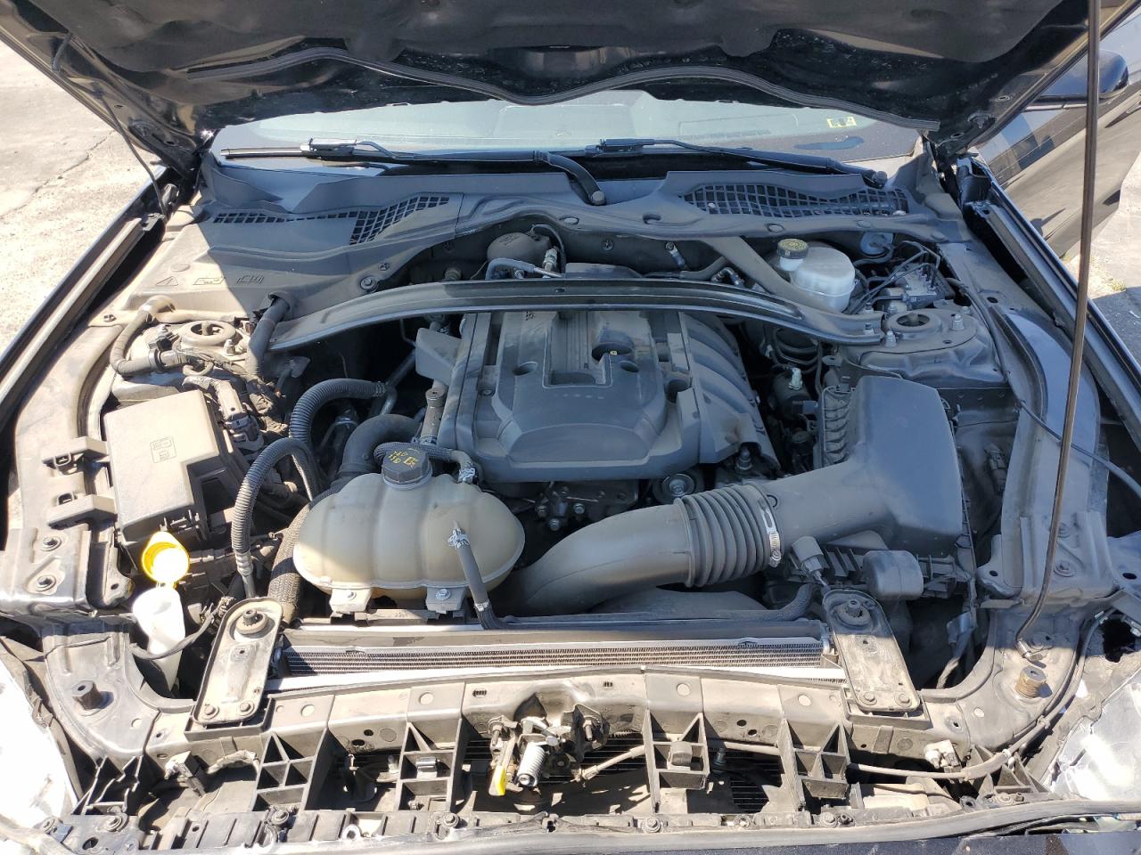 2019 Ford Mustang VIN: 1FA6P8TH0K5106255 Lot: 62264414