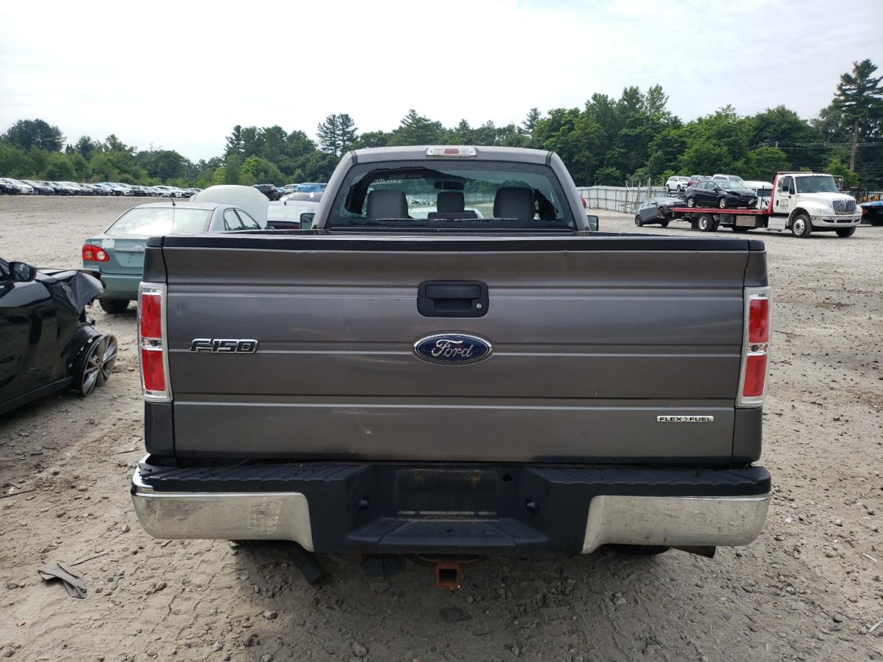2013 Ford F150 VIN: 1FTMF1EM7DKD39415 Lot: 61704944