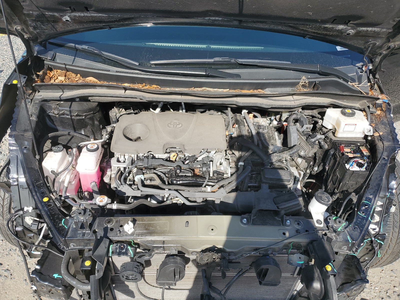 5TDJRKEC1MS045184 2021 Toyota Sienna Xle