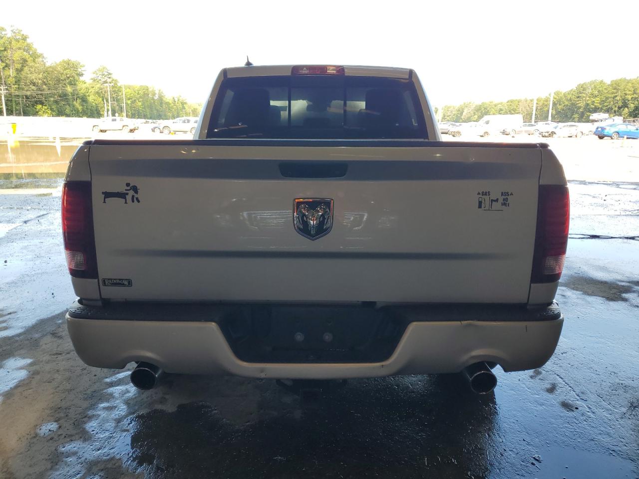 2015 Ram 1500 Sport VIN: 1C6RR6MT7FS613919 Lot: 61634854