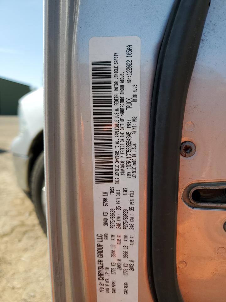 2011 Dodge Ram 1500 VIN: 1D7RV1GT5BS594645 Lot: 65069324