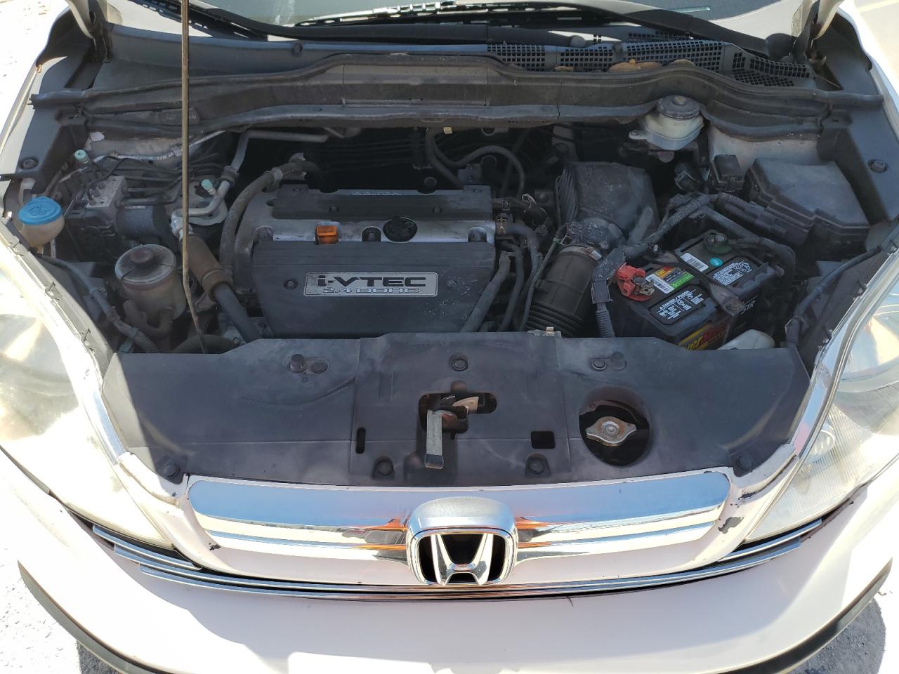 2009 Honda Cr-V Exl VIN: 5J6RE387X9L003926 Lot: 61749314