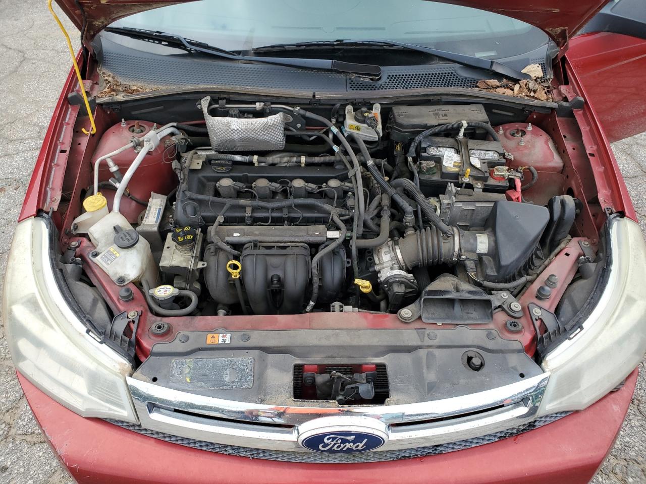 1FAHP3FN0AW294491 2010 Ford Focus Se