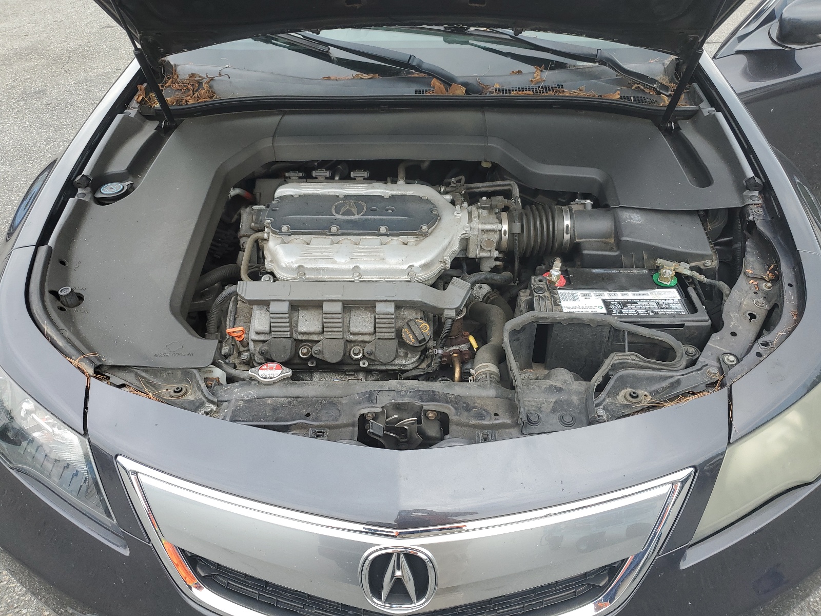 19UUA8F34DA018100 2013 Acura Tl Se