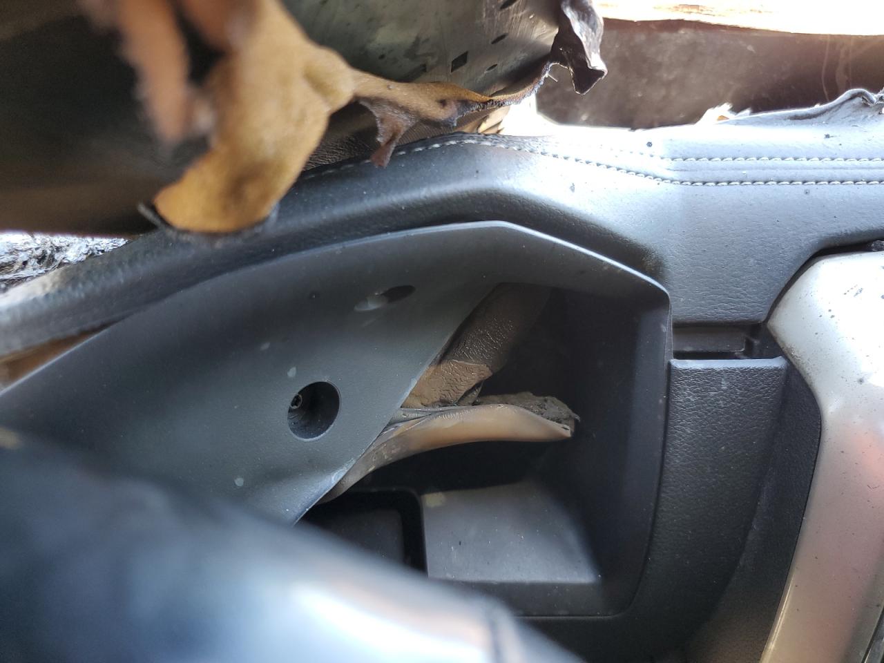 2019 Ram 1500 Classic Laramie VIN: 1C6RR7NM2KS749513 Lot: 63723934