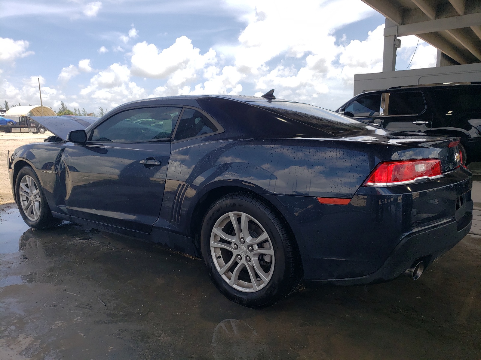 2014 Chevrolet Camaro Ls vin: 2G1FA1E3XE9173398