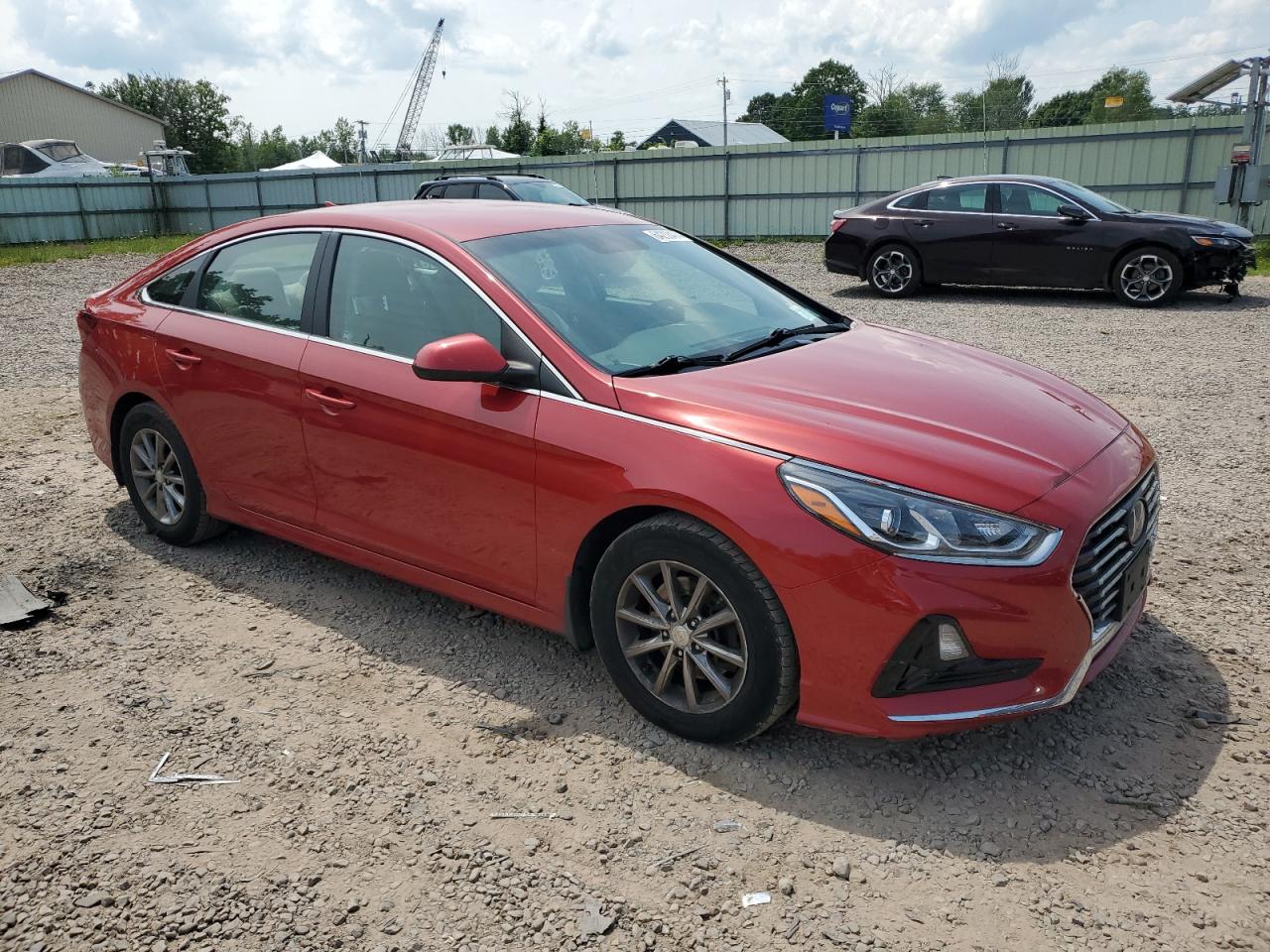 VIN 5NPE24AF2KH796329 2019 HYUNDAI SONATA no.4