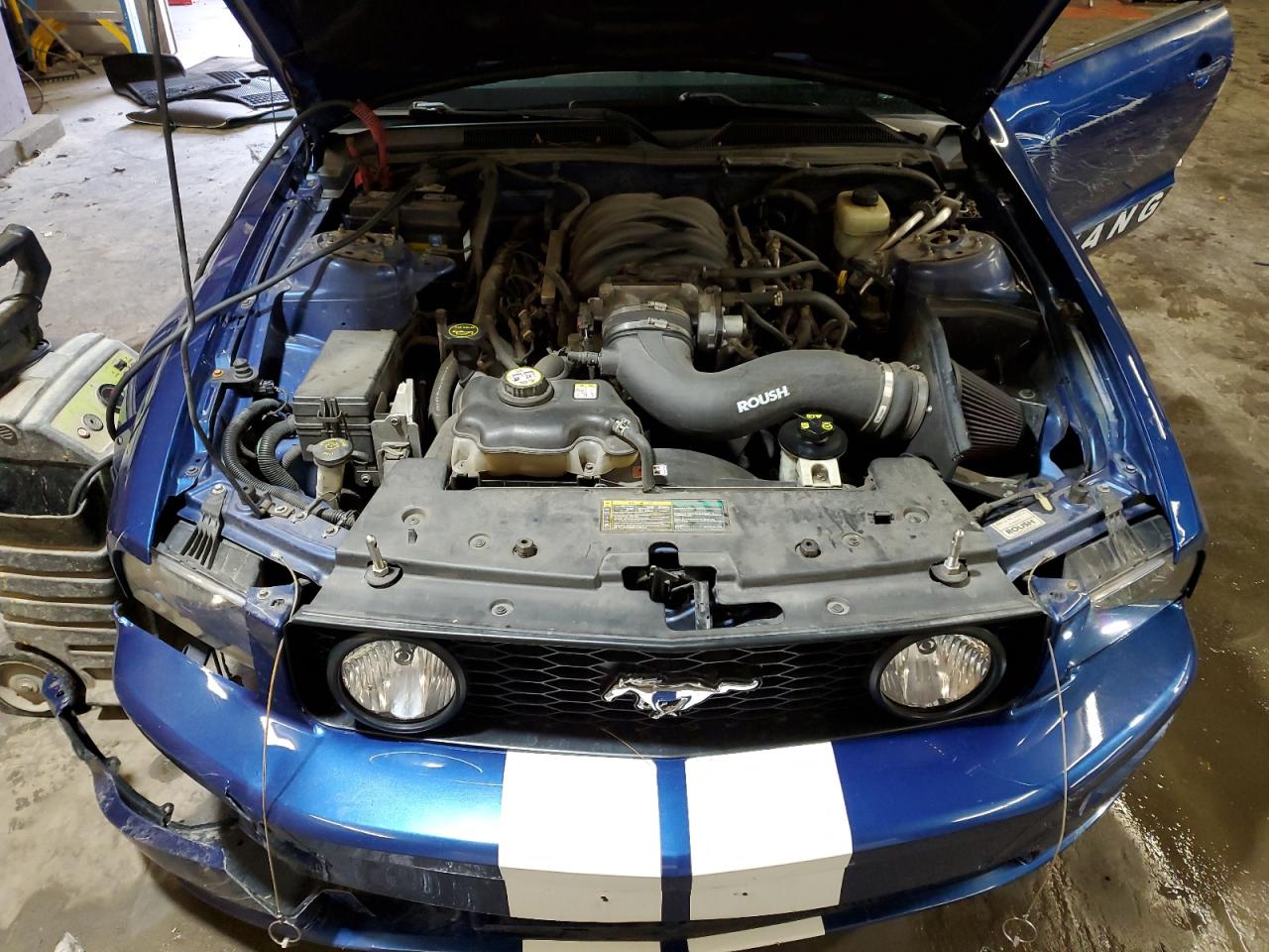 2006 Ford Mustang Gt VIN: 1ZVHT85H265235595 Lot: 64762764