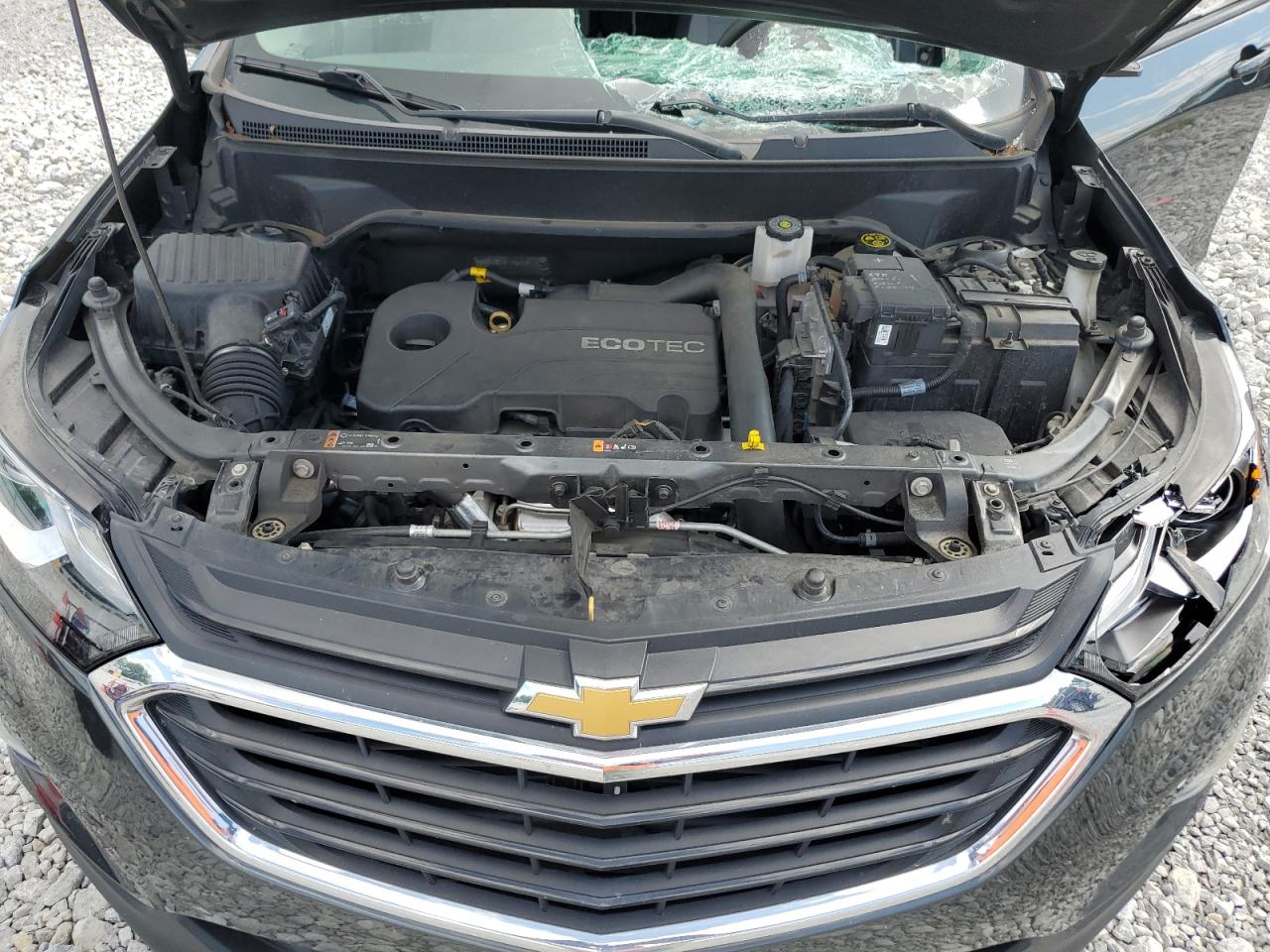 2020 Chevrolet Equinox Ls VIN: 3GNAXSEV9LS560569 Lot: 63254354
