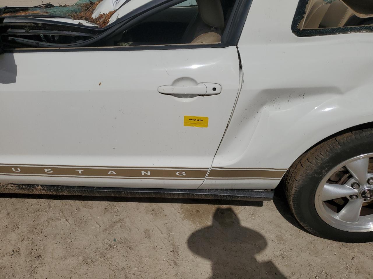 2007 Ford Mustang VIN: 1ZVFT80N875320401 Lot: 64087224