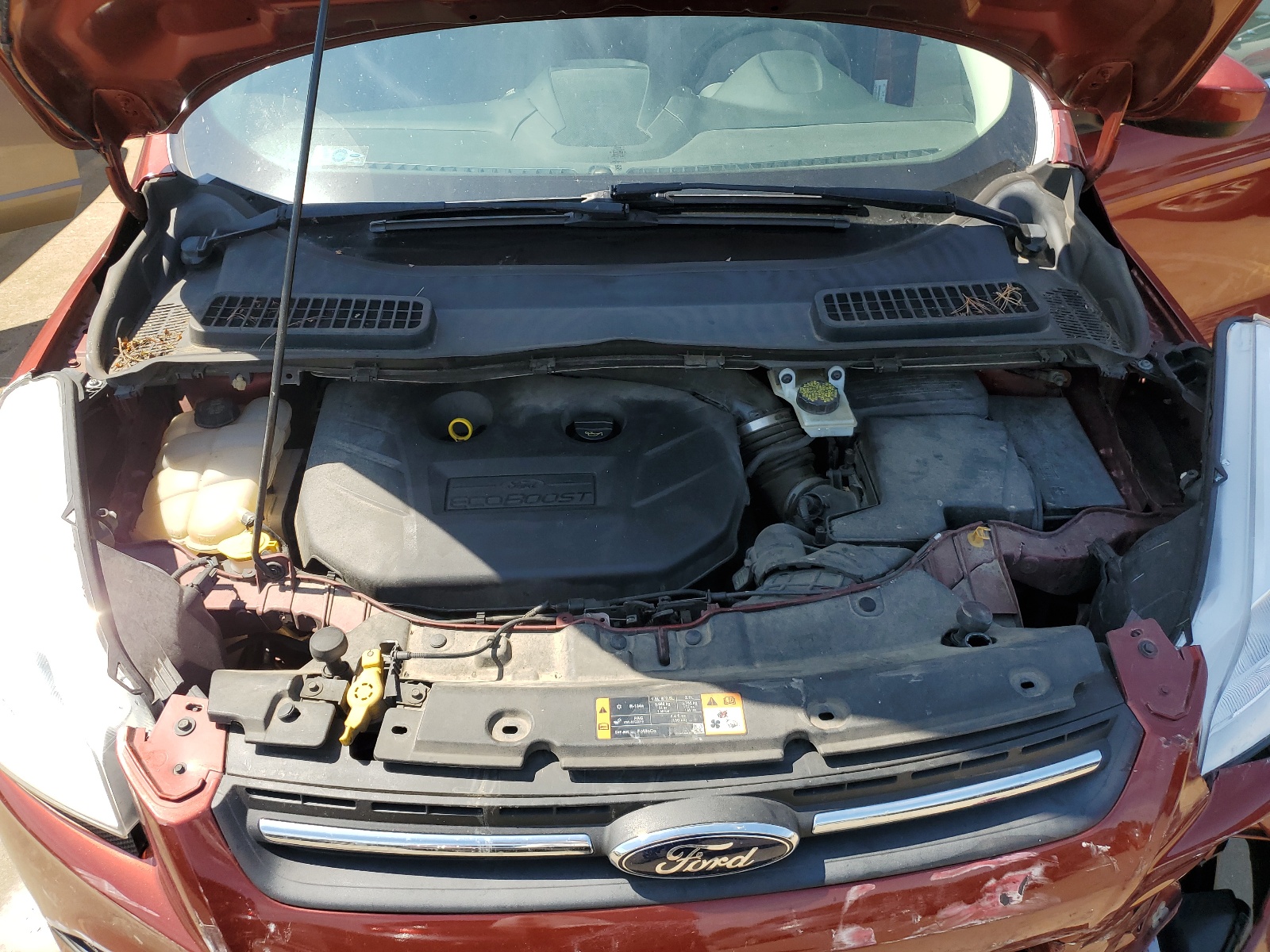 1FMCU9G92EUB95668 2014 Ford Escape Se