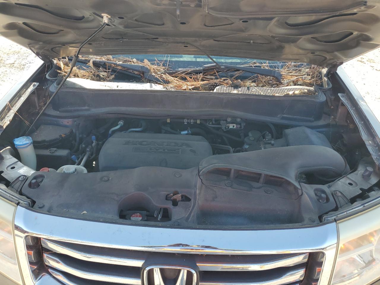 2013 Honda Pilot Lx VIN: 5FNYF3H20DB037324 Lot: 62841504