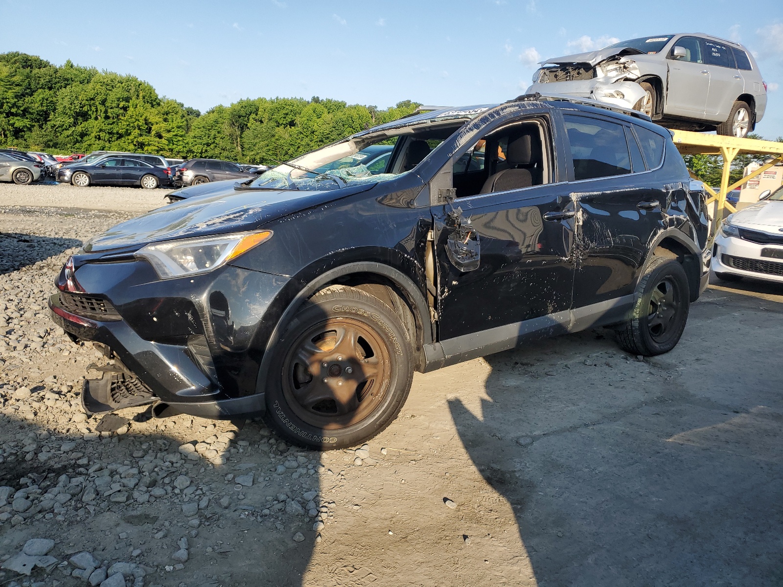 2016 Toyota Rav4 Le vin: 2T3ZFREV0GW244753