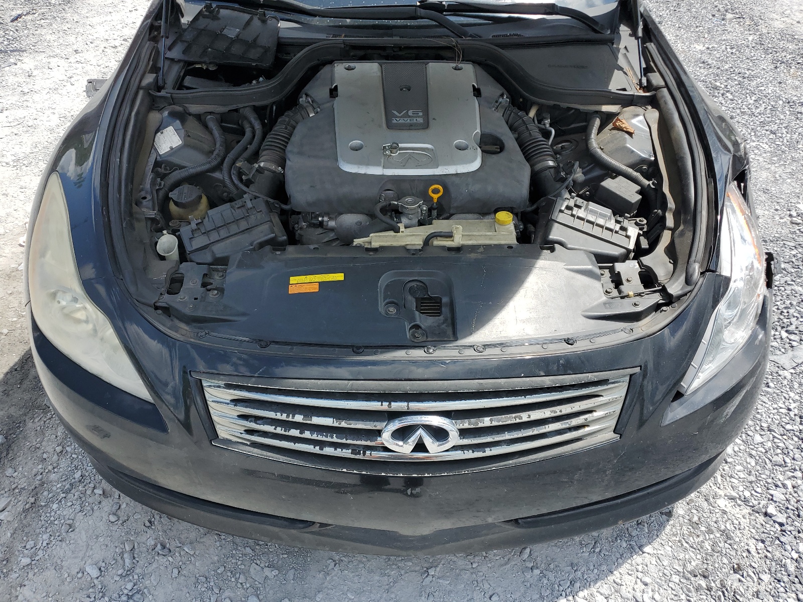 JNKCV64E58M126557 2008 Infiniti G37 Base