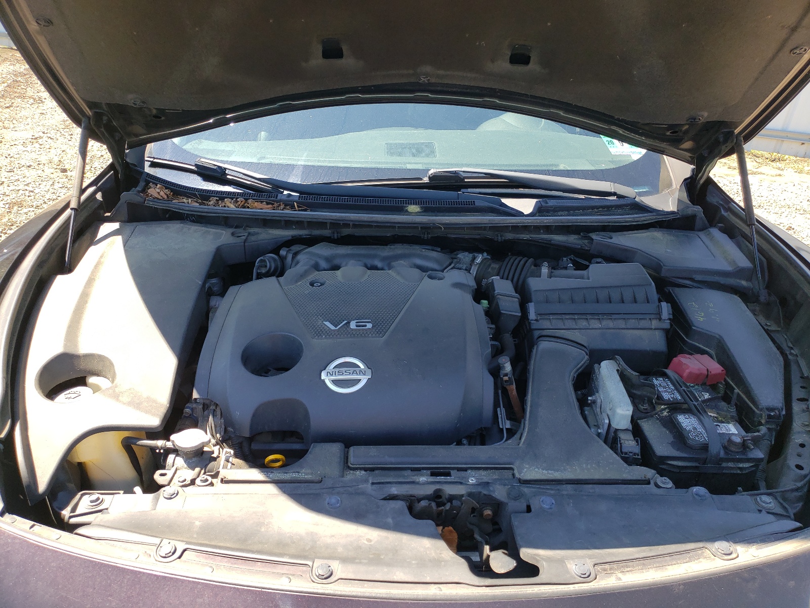 1N4AA5AP3AC867957 2010 Nissan Maxima S