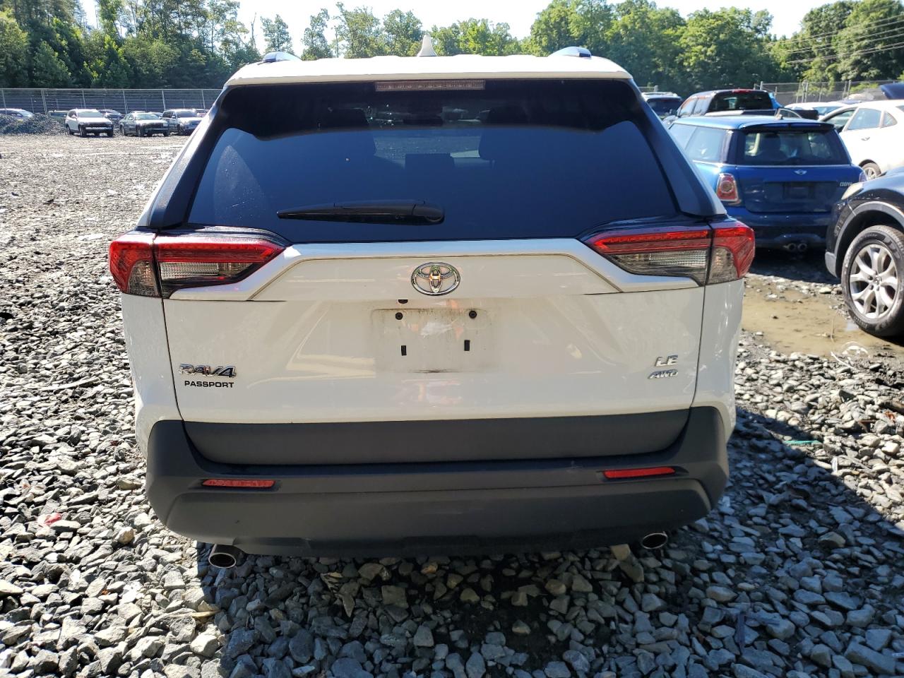 2021 Toyota Rav4 Le VIN: 2T3F1RFV7MW206769 Lot: 62396934