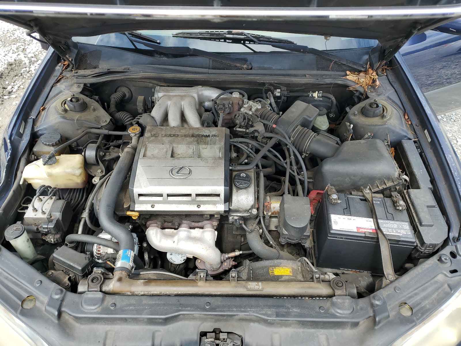 JT8BF22G8V0031922 1997 Lexus Es 300