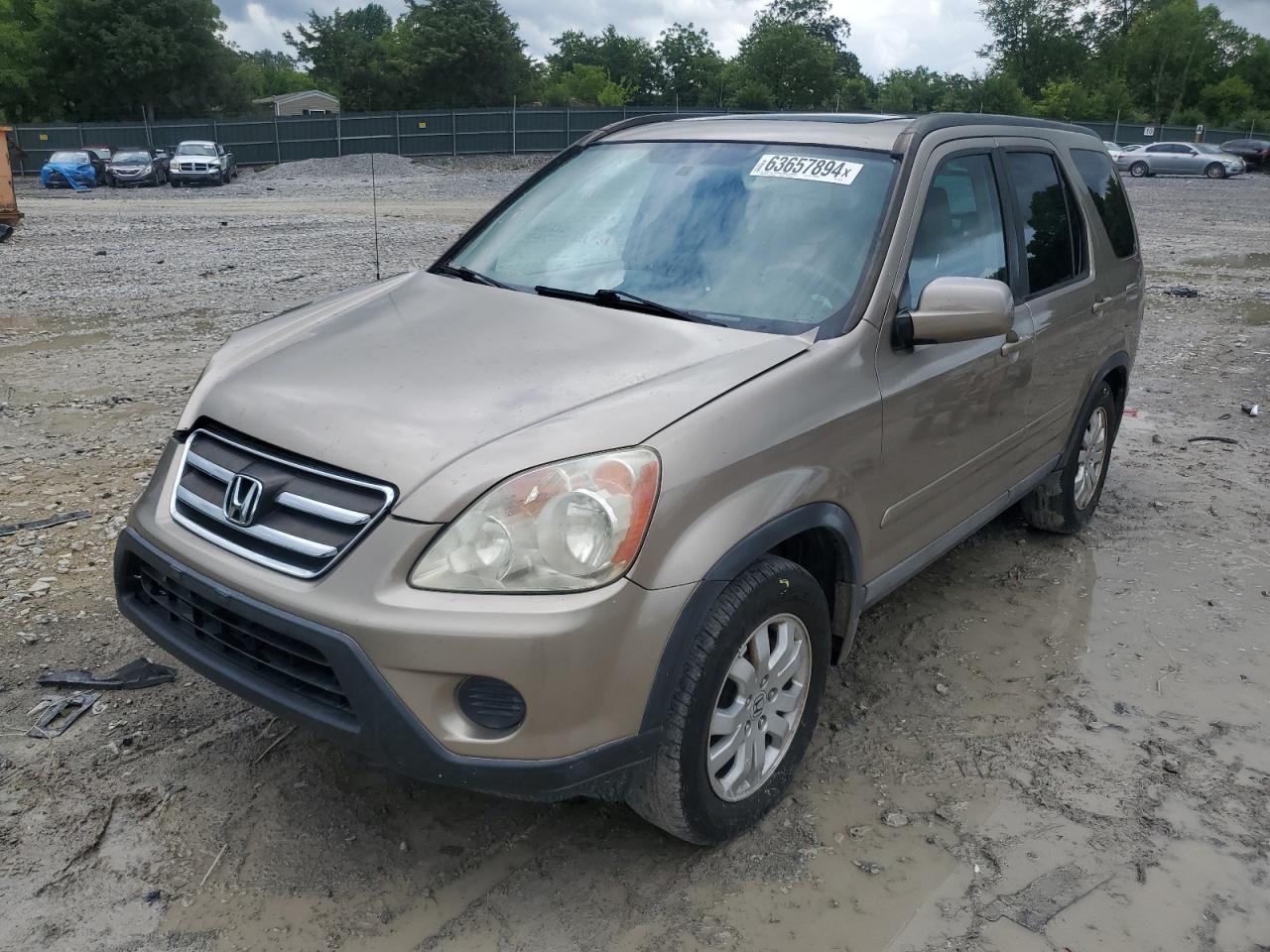 2006 Honda Cr-V Se VIN: SHSRD78986U439196 Lot: 63657894