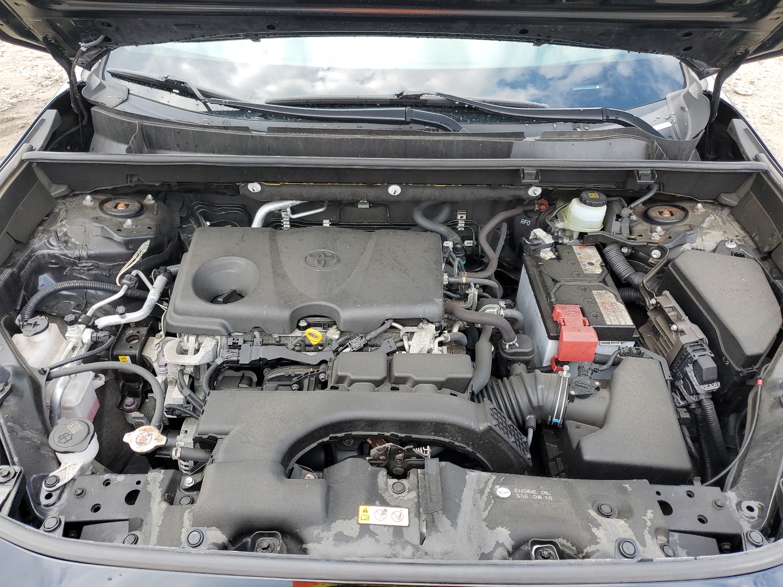 JTMG1RFV7KJ004126 2019 Toyota Rav4 Le