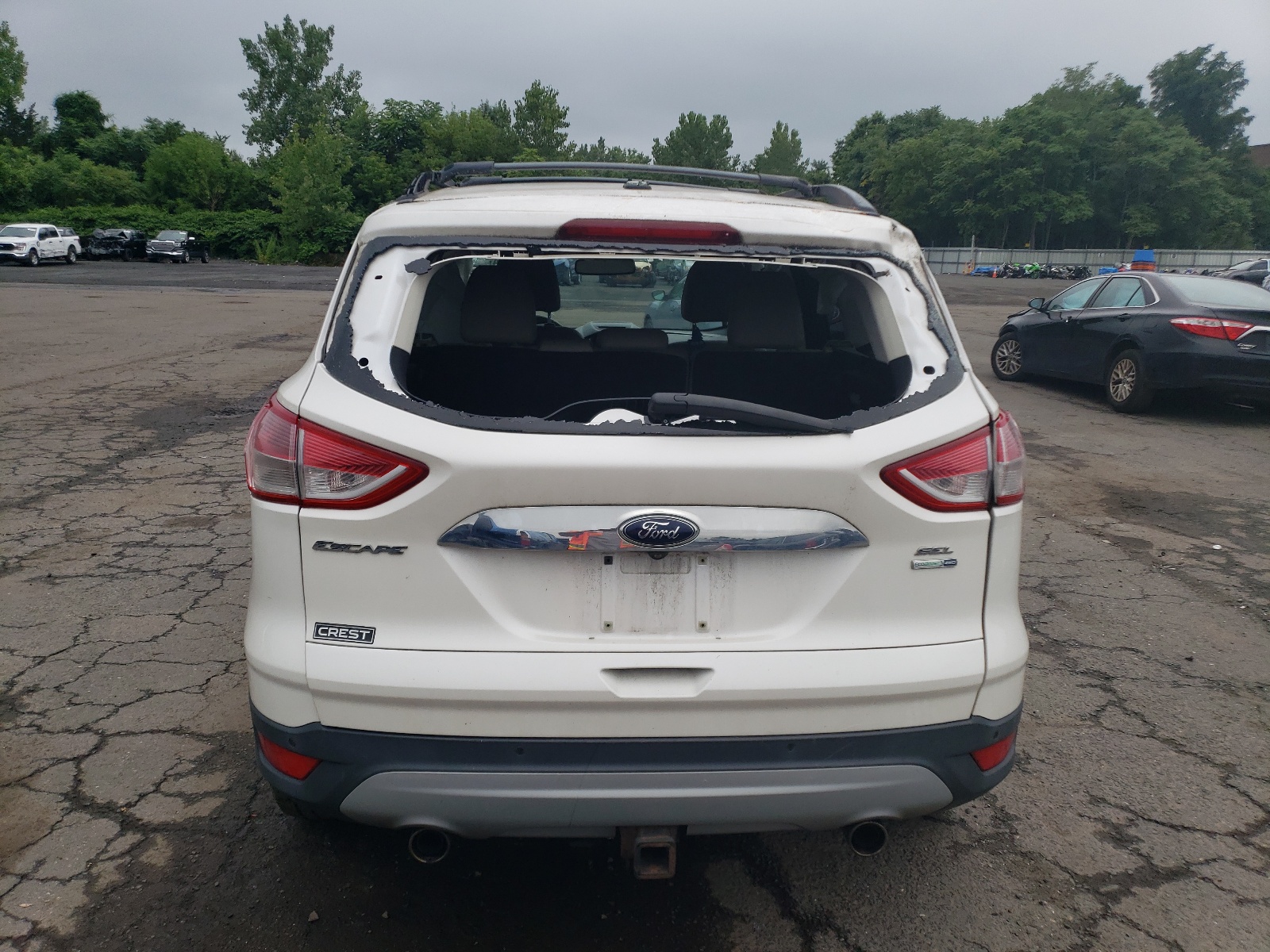 1FMCU9H93DUC75901 2013 Ford Escape Sel